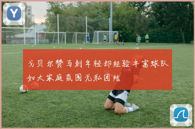 戈贝尔赞马刺年轻却经验丰富球队如大家庭氛围无私团结