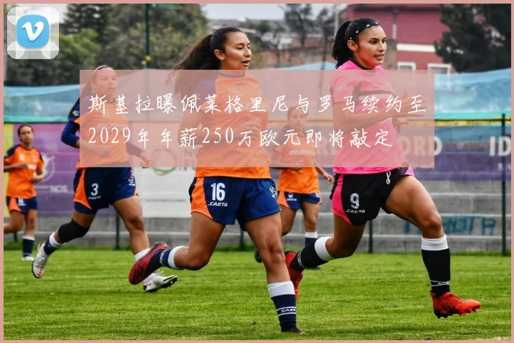 斯基拉曝佩莱格里尼与罗马续约至2029年年薪250万欧元即将敲定
