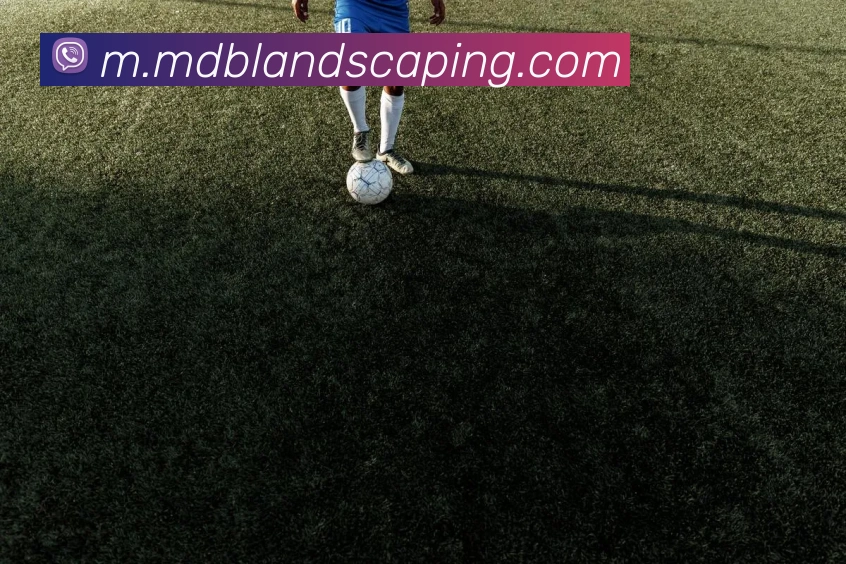 数据分析功能